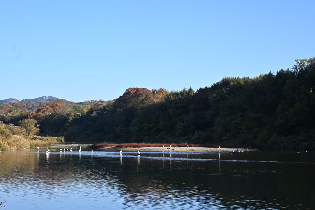 五條の河原