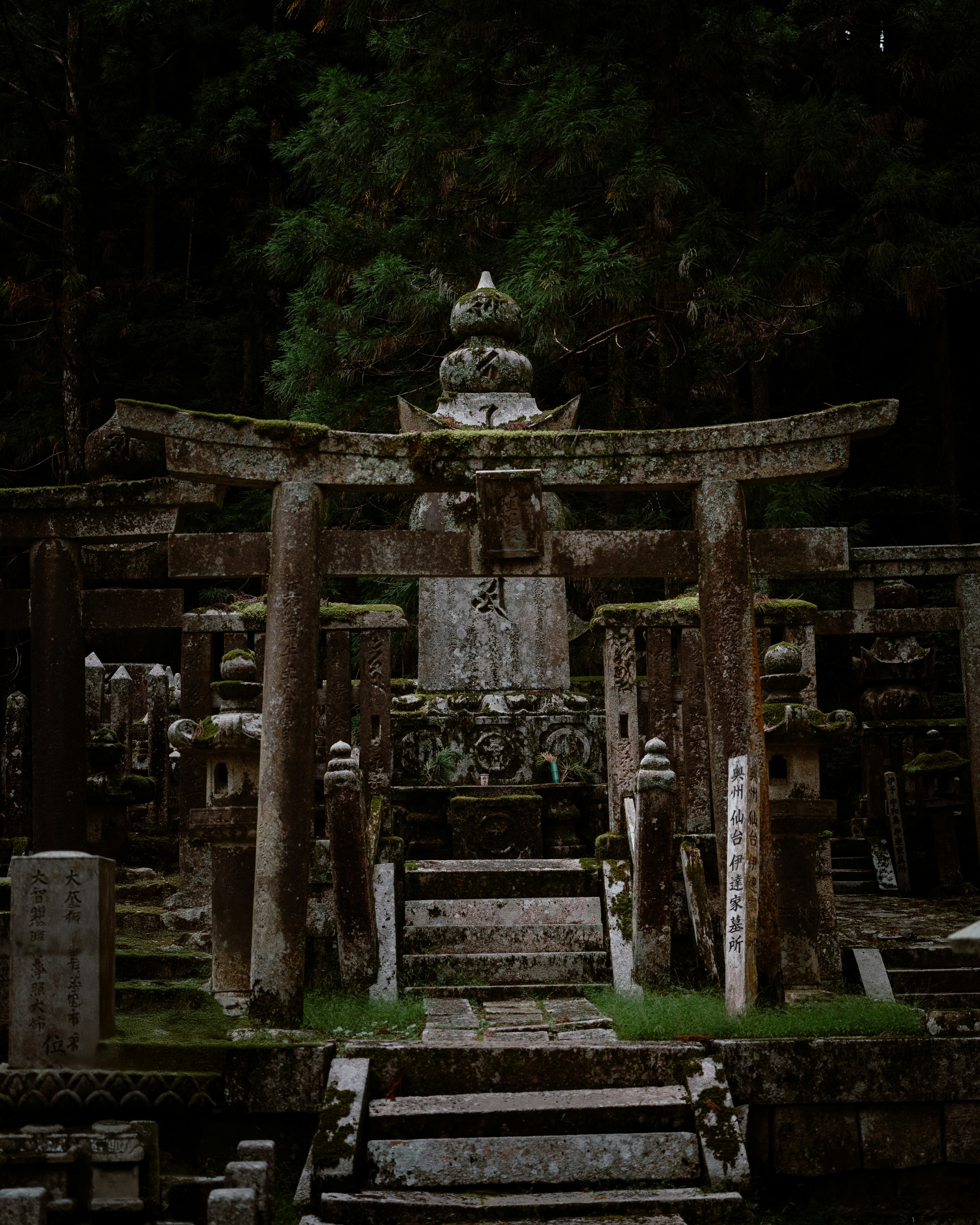 師は、死ぬ三ヶ月前に待っていた。