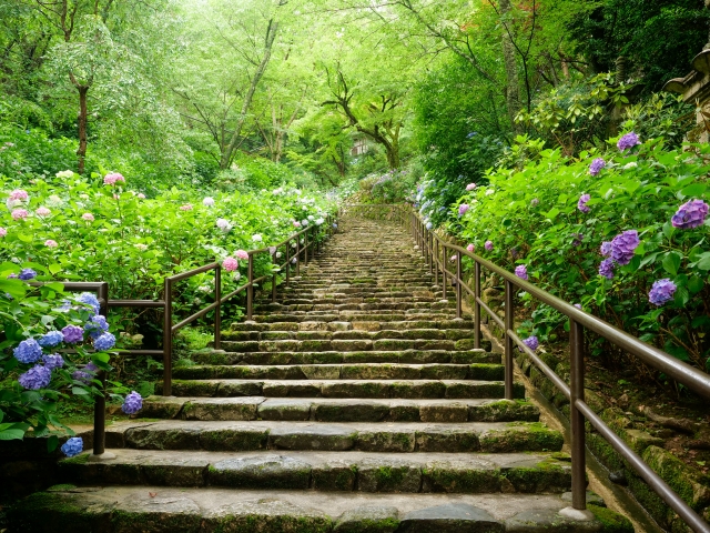 〔写真：長谷寺 廊下〕