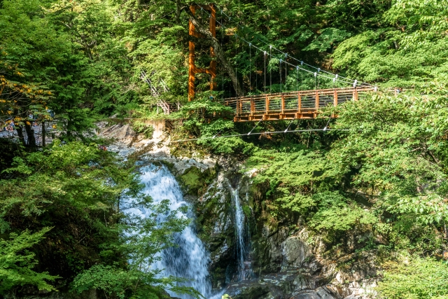 みたらい渓谷　新緑