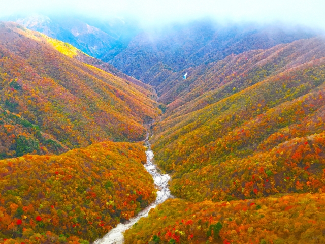 みたらい渓谷 秋