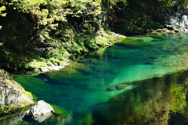 〔写真：みたらい渓谷 夏〕