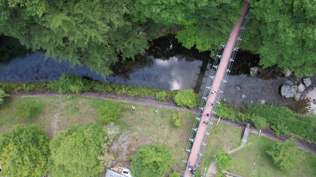 〔写真：みたらい渓谷 吊り橋〕