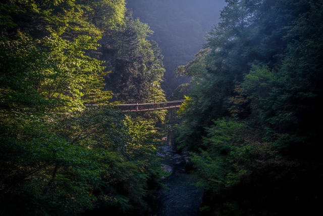 みたらい渓谷 橋