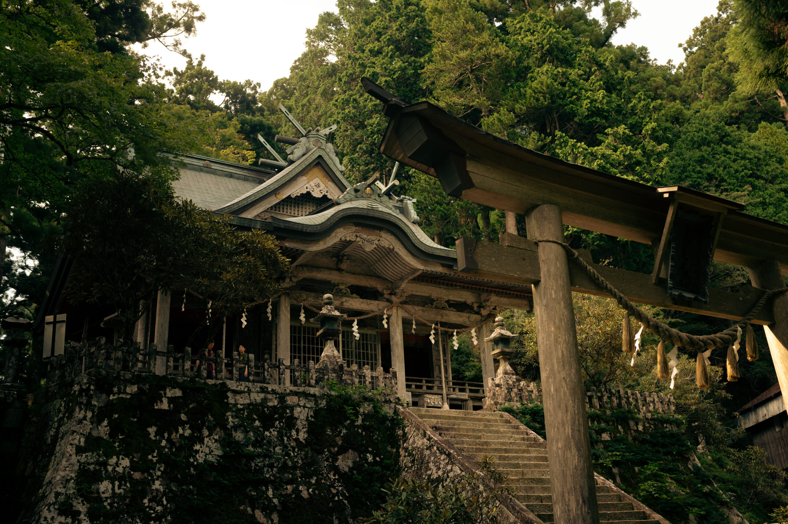 十津川村 玉置神社 / 村の鎮守