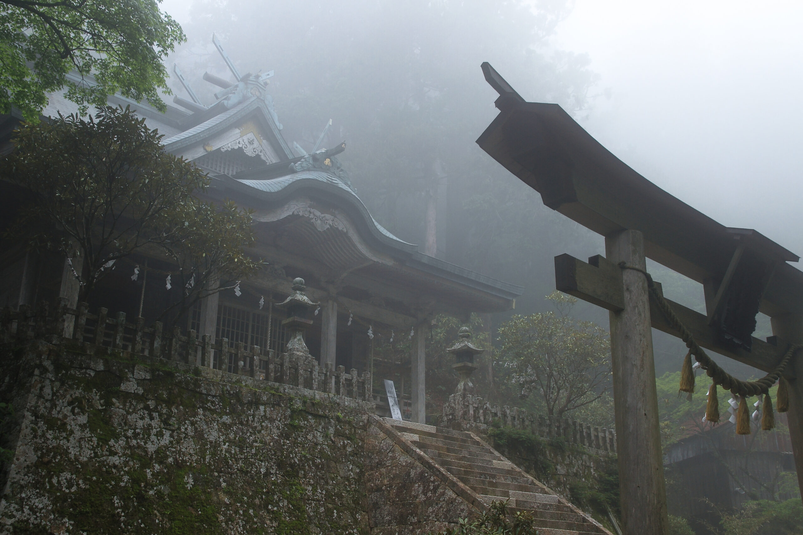 十津川村 / 山中の埋め墓